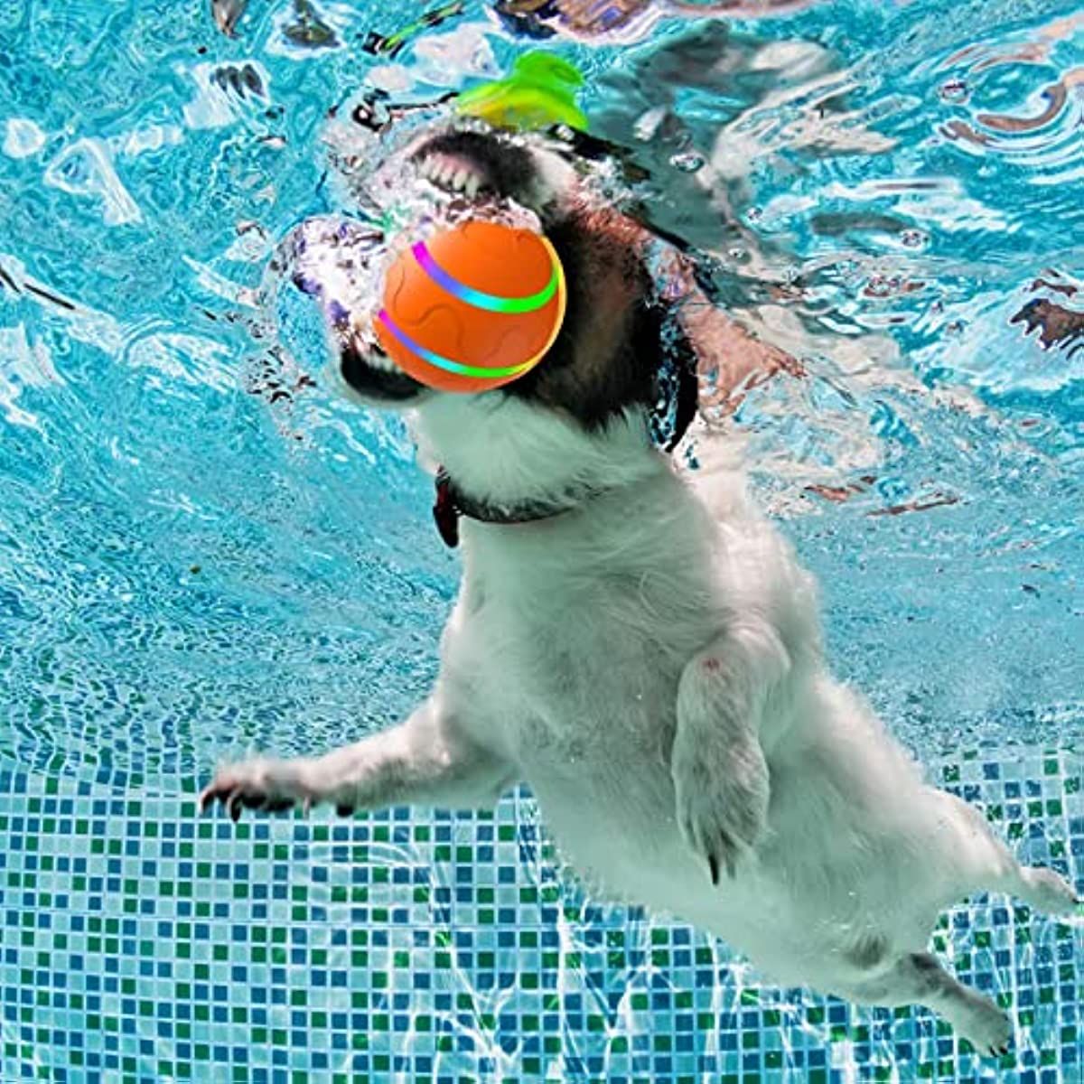 Rolling Ball for Dogs; Pet Dog Mental Stimulation Toys | Made of Natural Rubber; Active Rolling Ball for Dog Puppies and Cats; Happy; Intelligent Interactive Dog Toy