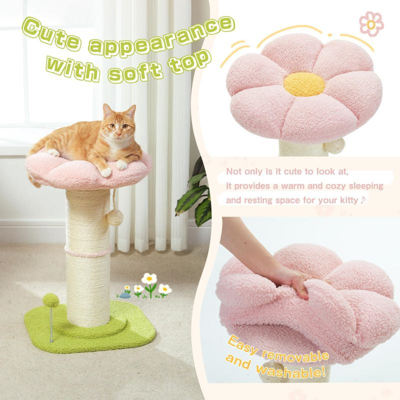 Tall Cat Scratching Post Small Cat Tree for Indoor