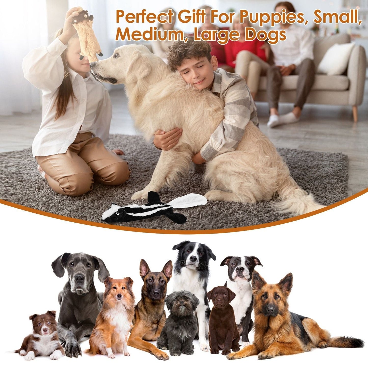 5Pcs Multi-Color Squeaky No Stuffing Dog Toys With Squeaky Balls Dog Teething Training Interactive Dog Toys for Aggressive Chewers for Small Medium and Large Dogs