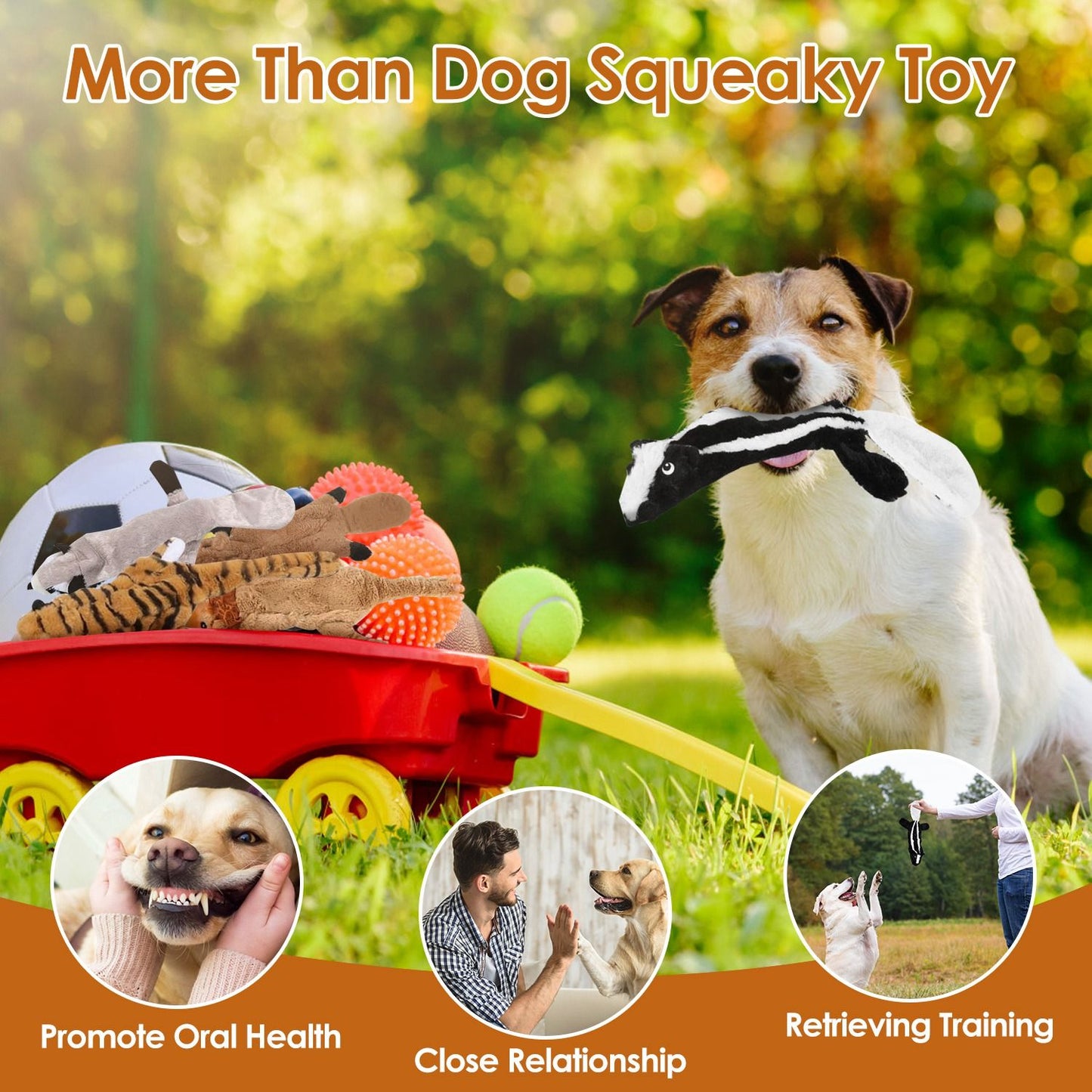 5Pcs Multi-Color Squeaky No Stuffing Dog Toys With Squeaky Balls Dog Teething Training Interactive Dog Toys for Aggressive Chewers for Small Medium and Large Dogs