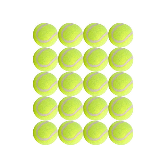 Dog Tennis Balls 20 Pack Pet Tennis Ball for Small Dogs Premium Fetch Toy Non-Toxic Non-Abrasive Material